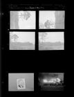 Photo of man; Woods; Fire (6 Negatives), March - July 1956, undated [Sleeve 33, Folder g, Box 10]